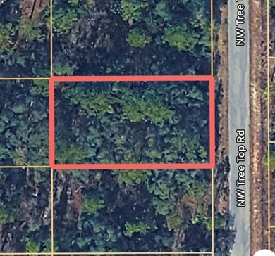 Bonable Lake Lot For Sale in Dunnellon Florida