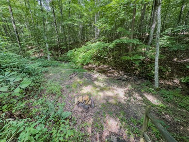 Charming 3-Bed, 3-Bath Cabin in Lake Cumberland Resort! A MUST - photo 10