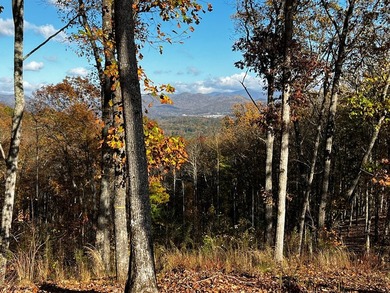 Stunning Lot with Mountain & Lake Views in Highland Park Welcome - photo 11