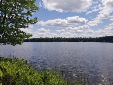 RARE FIND! Cisco Chain vacant waterfront parcel on the - photo 2