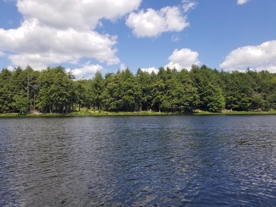 RARE FIND! Cisco Chain vacant waterfront parcel on the - photo 3
