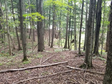 RARE FIND! Cisco Chain vacant waterfront parcel on the - photo 4