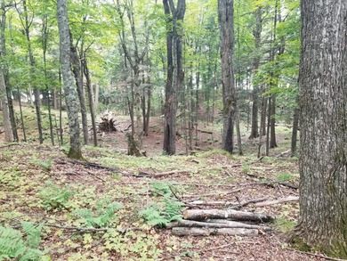 RARE FIND! Cisco Chain vacant waterfront parcel on the - photo 5