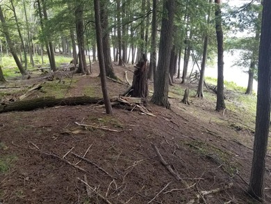 RARE FIND! Cisco Chain vacant waterfront parcel on the - photo 6