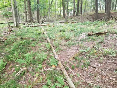 RARE FIND! Cisco Chain vacant waterfront parcel on the - photo 7