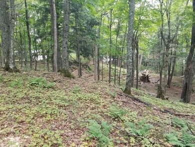 RARE FIND! Cisco Chain vacant waterfront parcel on the - photo 8