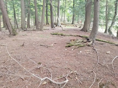 RARE FIND! Cisco Chain vacant waterfront parcel on the - photo 9