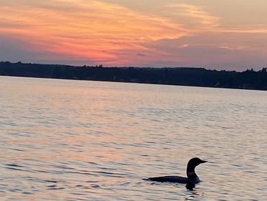 Welcome to Pine Point Park on beautiful Northwood Lake! This - photo 22