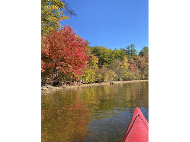 Welcome to Pine Point Park on beautiful Northwood Lake! This - photo 24