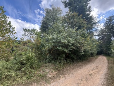 Pending: Building Lot by Axtel & Nick's Boat Dock - photo 5
