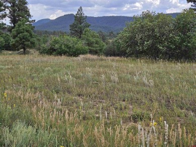 Lake Forest Lot For Sale in Pagosa Springs Colorado