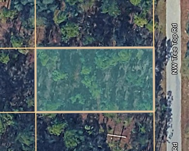 Bonable Lake Lot For Sale in Dunnellon Florida