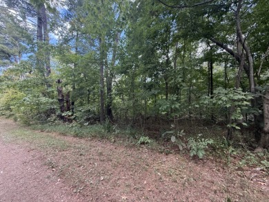 Pending: Building Lot by Axtel & Nick's Boat Dock - photo 10