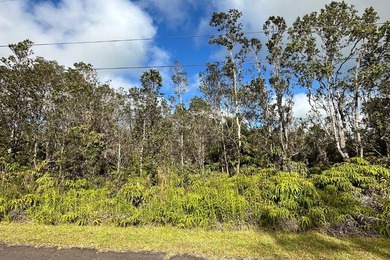 The adjacent Flag lot (TMK 3-1-1-13-48) is being sold together - photo 1
