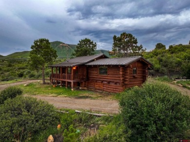 Lake Home For Sale in Mancos, Colorado