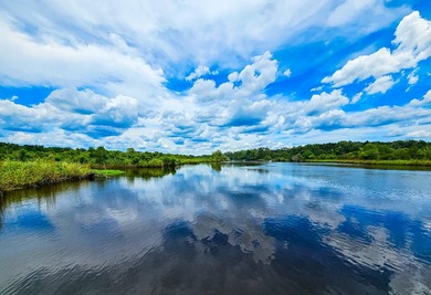 (private lake, pond, coastal) Home For Sale in Green Pond South Carolina
