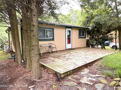 Lake Home For Sale in Lake Harmony, Pennsylvania