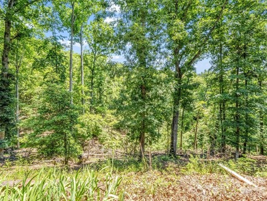 Tucked among the trees in the desirable Riverbend community of - photo 35