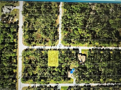 Port Charlotte Waterway Area Lot For Sale in Port Charlotte Florida