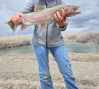 Henry's Fork Snake River Ranch - A Legacy Recreational and - photo 11