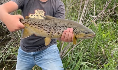 Henry's Fork Snake River Ranch - A Legacy Recreational and - photo 17