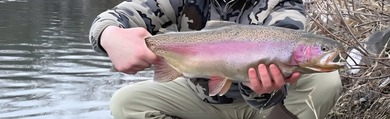 Henry's Fork Snake River Ranch - A Legacy Recreational and - photo 25
