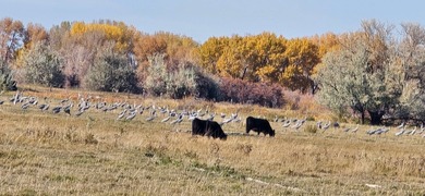 Henry's Fork Snake River Ranch - A Legacy Recreational and - photo 34