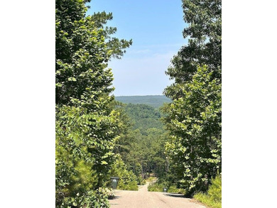 Broken Bow Lake Lot For Sale in Broken Bow Oklahoma