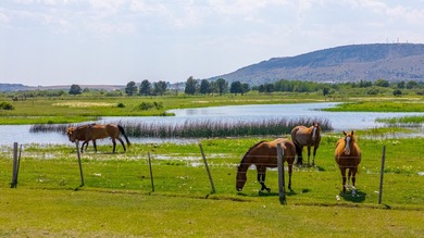 Henry's Fork Snake River Ranch - A Legacy Recreational and - photo 49