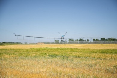 Henry's Fork Snake River Ranch - A Legacy Recreational and - photo 50