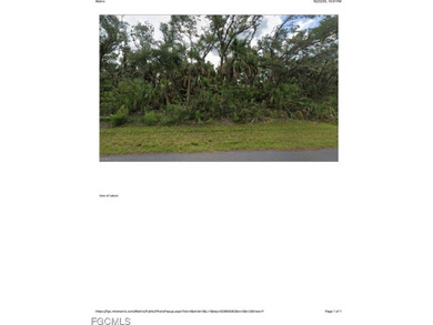 Lehigh Acres Area Lot For Sale in Lehigh Acres Florida
