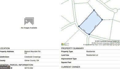 Lake Acreage For Sale in Talking Rock, Georgia
