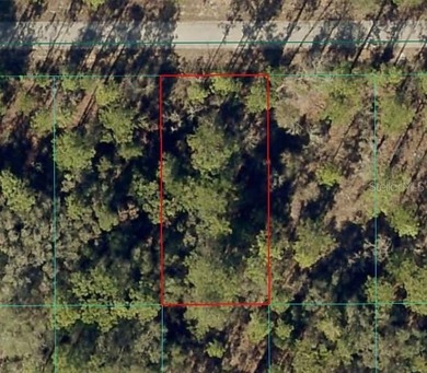 Bonable Lake Lot For Sale in Dunnellon Florida