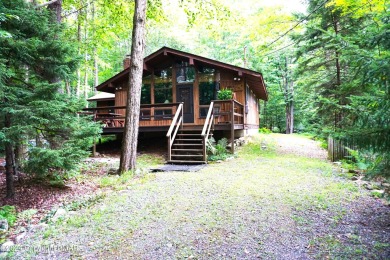 Lake Home For Sale in Pocono Lake, Pennsylvania