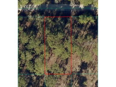 Bonable Lake Lot For Sale in Dunnellon Florida