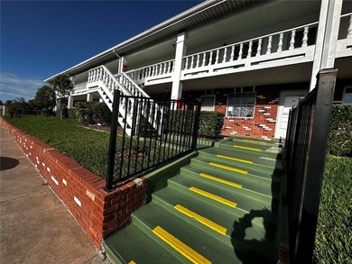 Escape the Winter: The Perfect Florida Snowbird Retreat! ?? - photo 22