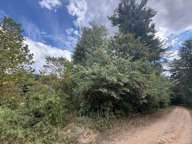 Pending: Building Lot by Axtel & Nick's Boat Dock - photo 6