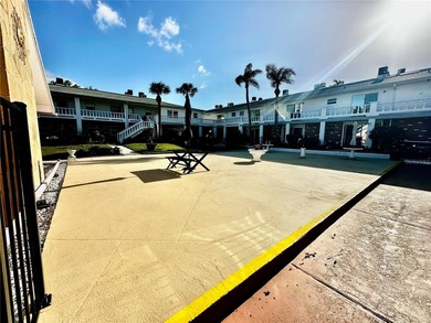 Escape the Winter: The Perfect Florida Snowbird Retreat! ?? - photo 29