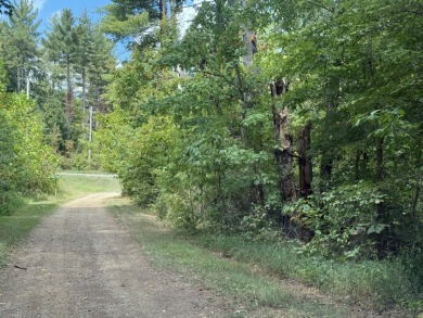 Pending: Building Lot by Axtel & Nick's Boat Dock - photo 13