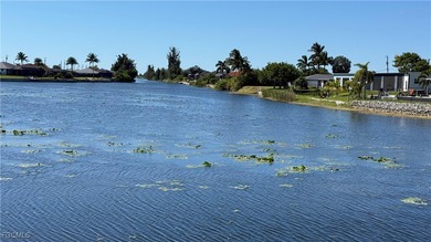 Lake Lot For Sale in Cape Coral, Florida