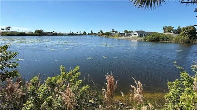 Build Your Dream Waterfront Home in Beautiful Cape Coral! This - photo 3