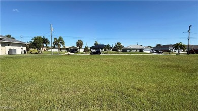 Build Your Dream Waterfront Home in Beautiful Cape Coral! This - photo 5