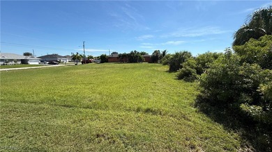 Build Your Dream Waterfront Home in Beautiful Cape Coral! This - photo 8