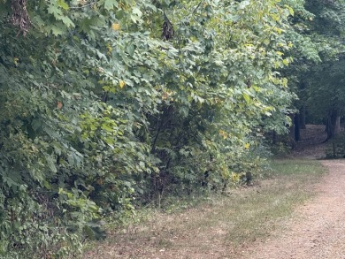 Pending: Building Lot by Axtel & Nick's Boat Dock - photo 7