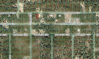 New listing in Rainbow Lakes Estates! This R-1 zoned homesite - photo 3