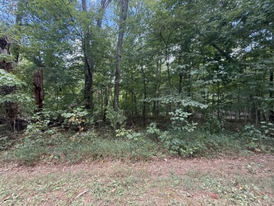 Pending: Building Lot by Axtel & Nick's Boat Dock - photo 9