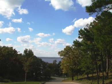 Lake Palestine Living in Prestigious Eagle's Bluff - photo 28