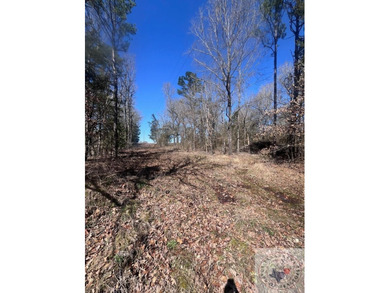 (private lake, pond, creek) Acreage For Sale in Avery Texas