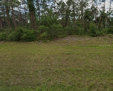 Build your Florida dream home on this spacious residential lot - photo 2