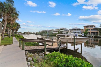DOCK AND 16,000 LB BOAT LIFT! GULF ACCESS! PRIVATE SALTWATER - photo 33